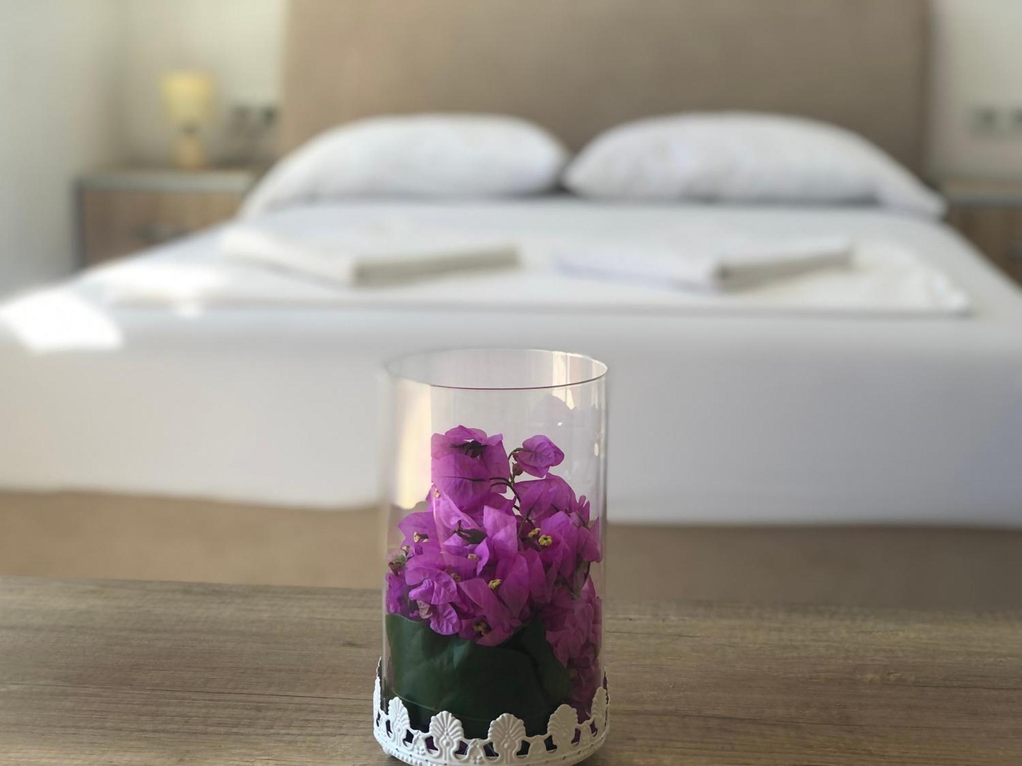 Apartman S T A Apartmani Ulcinj